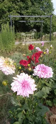 Jardin de l'établissement Chez Agnès