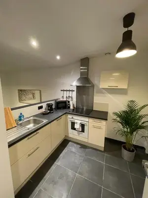 Cuisine ou kitchenette dans l'établissement Bel Appartement Grande Terrasse avec parking à Dijon