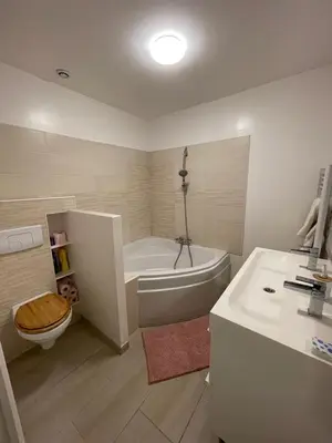 Salle de bains dans l'établissement Bel Appartement Grande Terrasse avec parking à Dijon