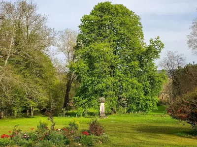 Jardin de l'établissement Le Clos- Le Pavillon