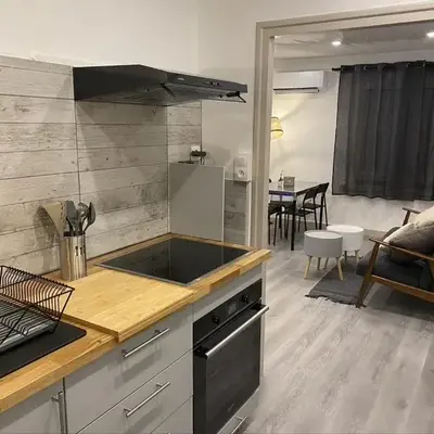 Le Pasteur Duplex Confort Centre Ville
