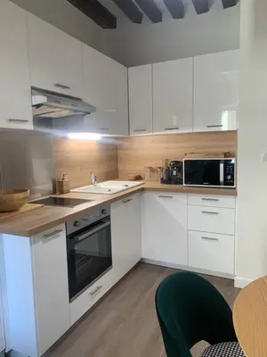 Cuisine ou kitchenette dans l'établissement Appartement velouté