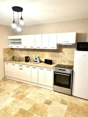 Cuisine ou kitchenette dans l'établissement Le Petit Phuket - Proche du centre ville de Mâcon - Appartement confortable et calme - Stationnement facile à proximité