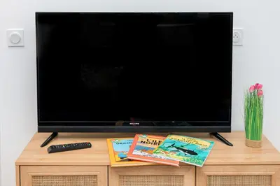 Télévision ou salle de divertissement dans l'établissement Tintin - Locationtournus