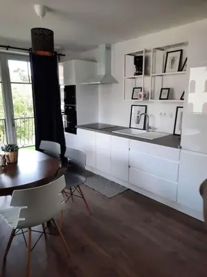 Cuisine ou kitchenette dans l'établissement Superbe appartement climatisé au centre ville 777