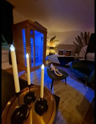 Coin salon dans l'établissement Spa-Sauna-Ciel de pluie tropicale-Champagne Nuit Romantique - Escapade Mâconnaise
