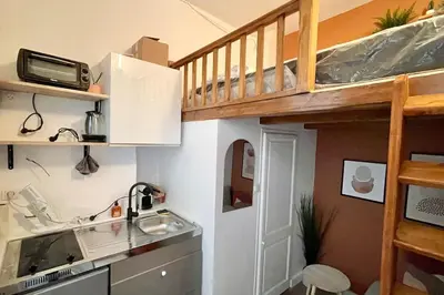 Cuisine ou kitchenette dans l'établissement Charmant cocon au cœur de Dijon