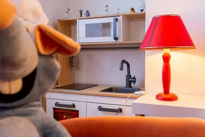 Cuisine ou kitchenette dans l'établissement L'appart chez Remy
