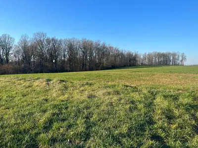 Paysage naturel près de la maison de vacances