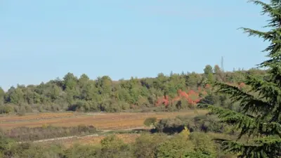 Paysage naturel près de la maison de vacances