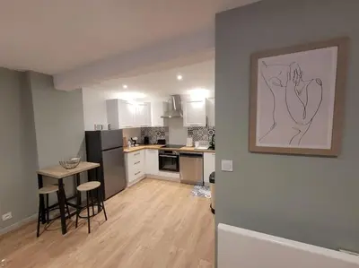 Cuisine ou kitchenette dans l'établissement Appartement Le Duplex