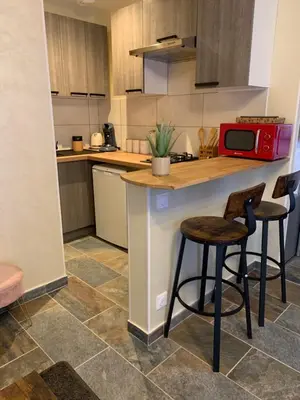 Cuisine ou kitchenette dans l'établissement Studio indépendant avec piscine et jardin