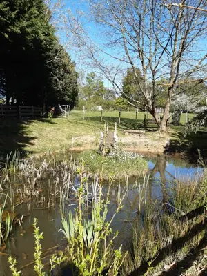 Paysage naturel près de la tente de luxe