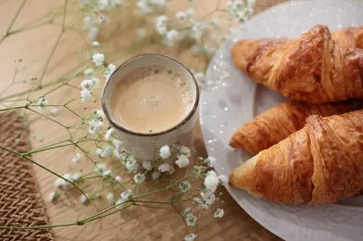 Nourriture dans l'appartement ou à proximité